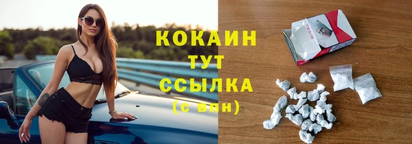 прущие грибы Пролетарск