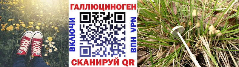 Купить  Лебедянь  Галлюциногенные грибы мухоморы 